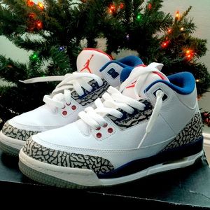 True Blue 3s